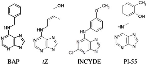 Chemical Structures Of Naturally Occurring Cytokinins And Newly Download Scientific Diagram