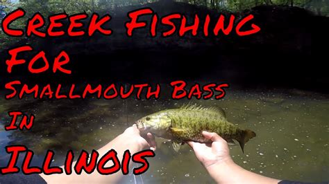 Creek Fishing For Smallmouth Bass In Illinois Youtube