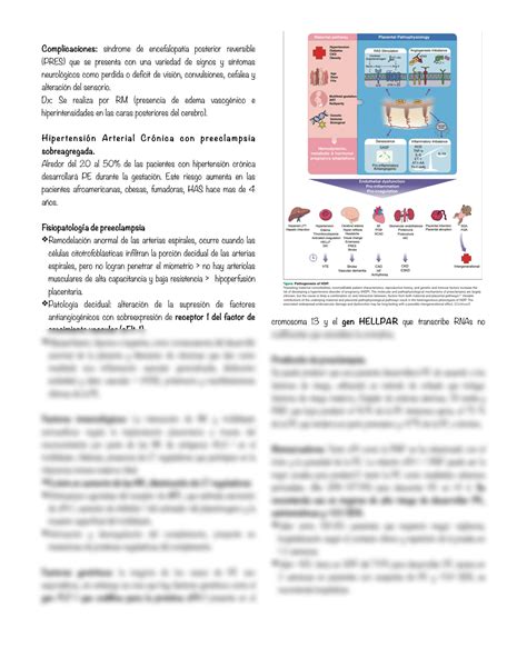 Solution Enfermedad Hipertensiva Del Embarazo Studypool