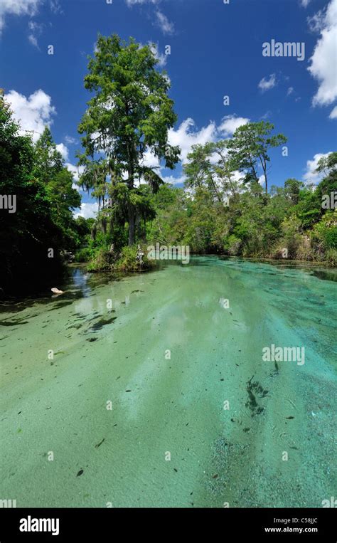 Weeki Wachee River Weeki Wachee Springs State Park Weeki Wachee