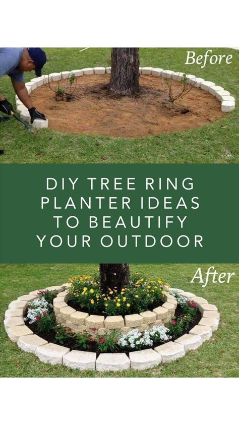 DIY Tree Ring Planter Ideas to Beautify Your Outdoor | Diy landscaping, Landscaping around trees ...