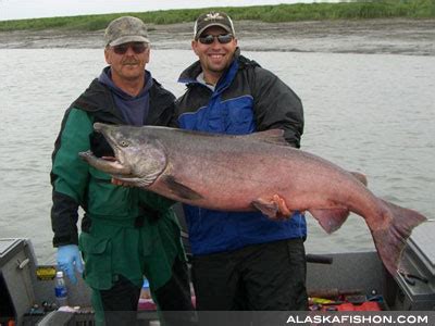 Kenai River King Salmon Fishing | Charters & Day Trips | Call 888-283-4002