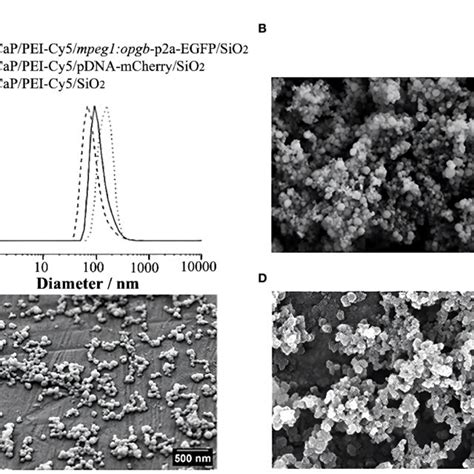 Characterization Of Nanoparticles Download Scientific Diagram