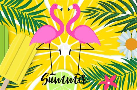 Cute Pink Flamingo Summer Background Vector Illustration Ilustração do