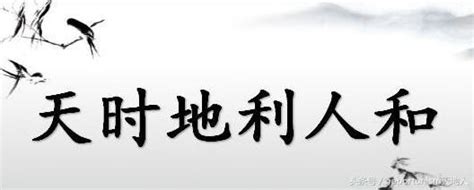 論天時，地利，人和；帶你進入不一樣的金融視角 愛經驗