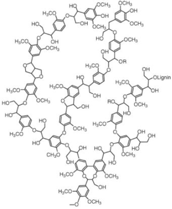 The Properties of Fresh and Aged Biochar – Biochar for Sustainable Soils