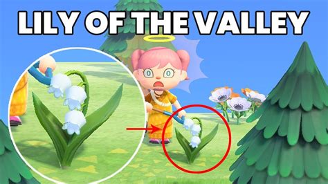 How To Get Lily Of The Valley Flowers In Animal Crossing New Horizons