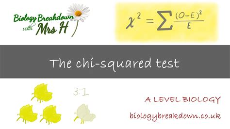 The Chi Squared Test A Level Biology YouTube