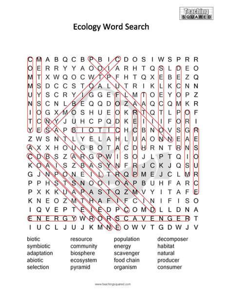 Ecology Science Word Search Teaching Squared Worksheets Library