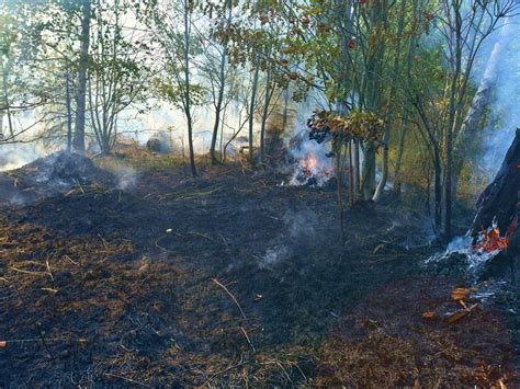 Waldbrand im Wartburgkreis Feuerwehrleute kämpfen bis in Nacht