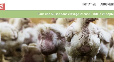 L Levage Intensif Une R Alit En Suisse Aussi Climat