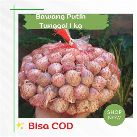 Jual Bawang Putih Tunggal 1 Kg Bawang Lanang Tunggal Shopee Indonesia