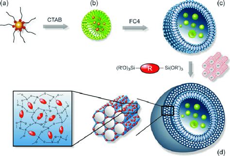 Synthesis Route Of Pmo Magnetic Hollow Spheres A Hydrophobic