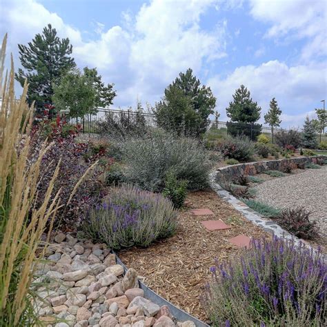 Complete Guide To Colorado Xeriscaping Environmental Designs