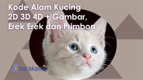 Kode Alam Kucing D D D Gambar Erek Erek Dan Primbon Terbaru