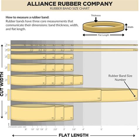 Rubber Band Size Chart Cheap Sale | cityofclovis.org