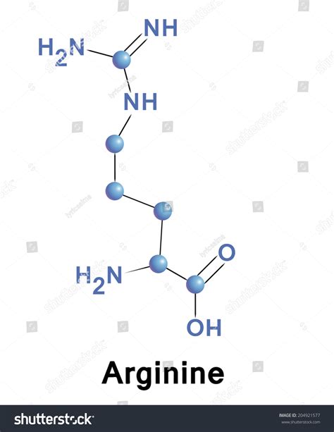 Arginine Molecule Structure Medical Vector Illustration Stock Vector ...