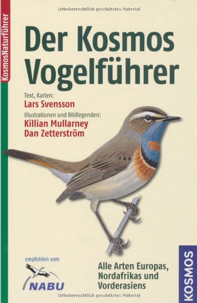 Der Kosmos Vogelf Hrer Wildnisschule Chiemgau Elementar Erfahrungen