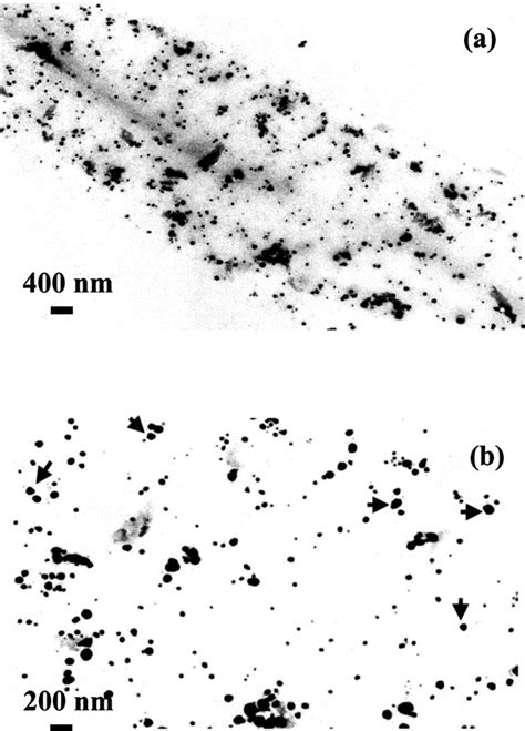 TEM Images A At Low Magni Fi Cation And B At High Magni Fi Cation