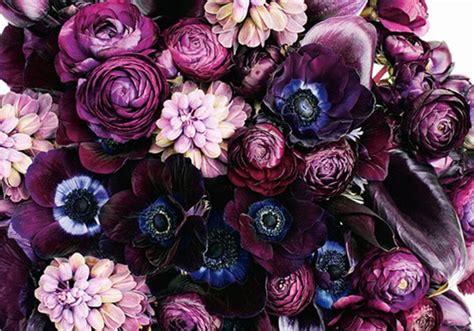 Fashion Over Reason Friday Inspo Amazing Flowers Trendy Flowers