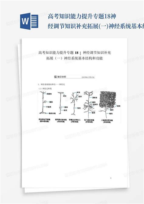 高考知识能力提升专题18神经调节知识补充拓展 一 神经系统基本结构和Word模板下载 编号qberemyw 熊猫办公