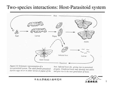 Two Species Interactions Host Parasitoid System Ppt Download