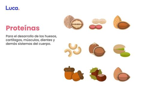 Alimentos Nutritivos Para Niños Hacia Una Vida Saludable