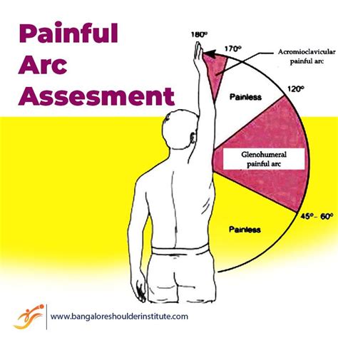 Pin On Painful Arc Test