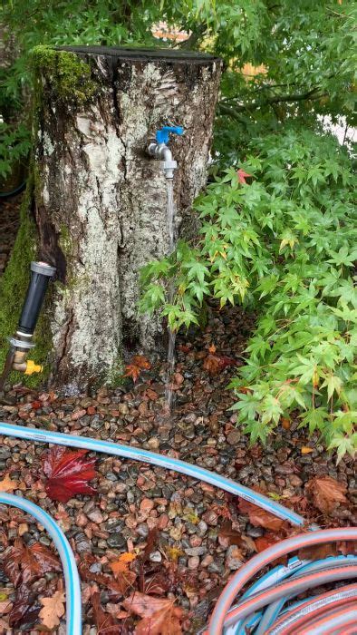 Video Kran monterad på trädstubbe vatten rinner Byggahus se