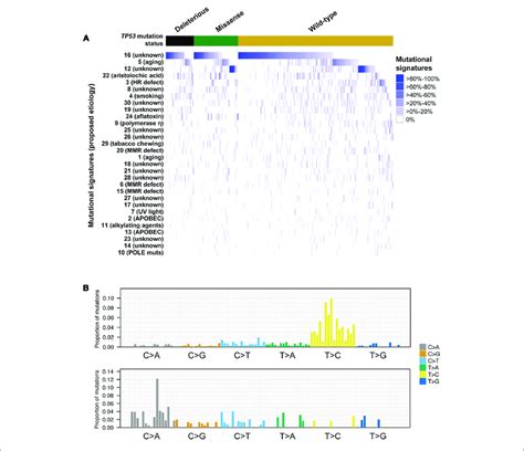 Mutational Signatures In Hepatocellular Carcinoma With And Without