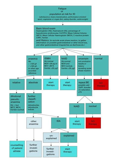 Algorithm For Diagnosis And Treatment Of Iron Deficiency In Otherwise