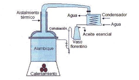 La Extracci N De Los Aceites Esenciales