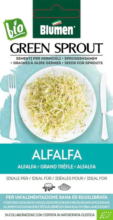 Blumen BIO Sprossensamen Alfalfa 40g Sprossen Keimlinge Kaufen Bei