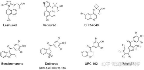 一波三浪进入第三春的降尿酸热门靶点urat1抑制剂，是真突破还是假繁荣？ 知乎