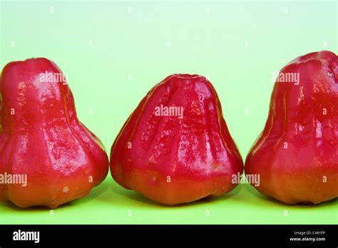 jambu fruit Stock Photo - Alamy