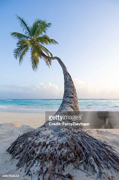 Barbados Climate Photos And Premium High Res Pictures Getty Images