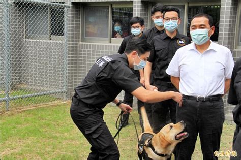 新北警犬搜救犬訓練場 三峽啟用 新北市 自由時報電子報