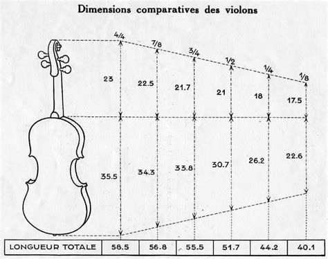 Dimensions Comparatives Des Violons Adultes Et Enfants Violoncelle