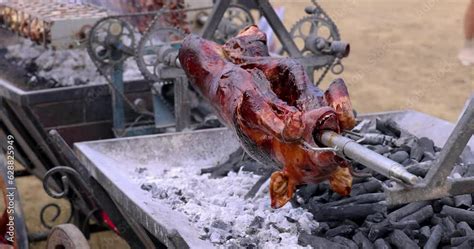 Roasted Whole Pig On Fire Grilled Pig On Skewer Roasting Pig On A