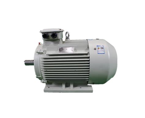 Phase Squirrel Cage Induction Motor