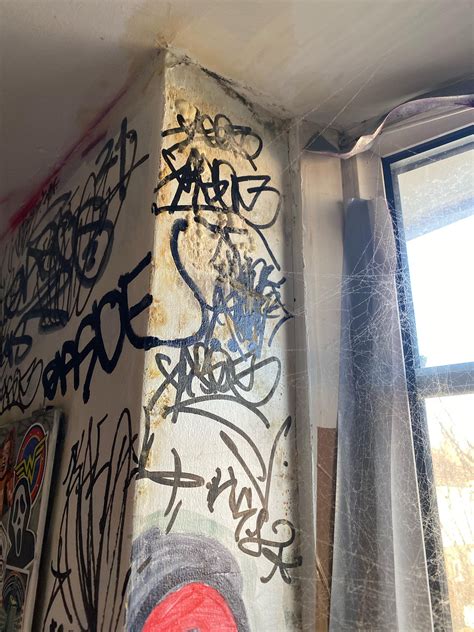 Is this mould : r/mycology