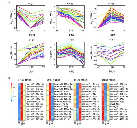 Expression Patterns Of The Differentially Expressed Mirnas Among The