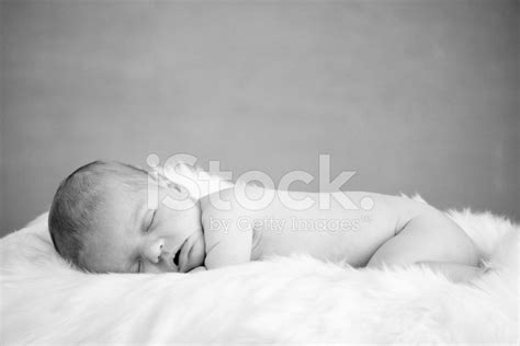 Sleeping Newborn Baby Portrait Stock Photo Royalty Free Freeimages