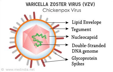 Konsultasi Dokter Keluarga: Varicella Zoster