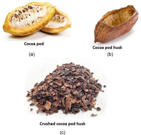 Conventional And Unconventional Transformation Of Cocoa Pod Husks Into