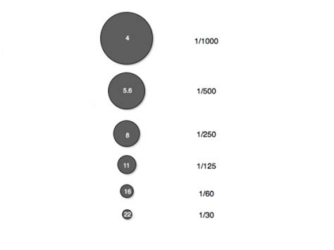 The Relationship Between Aperture, Shutter Speed & ISO - 36exp ...