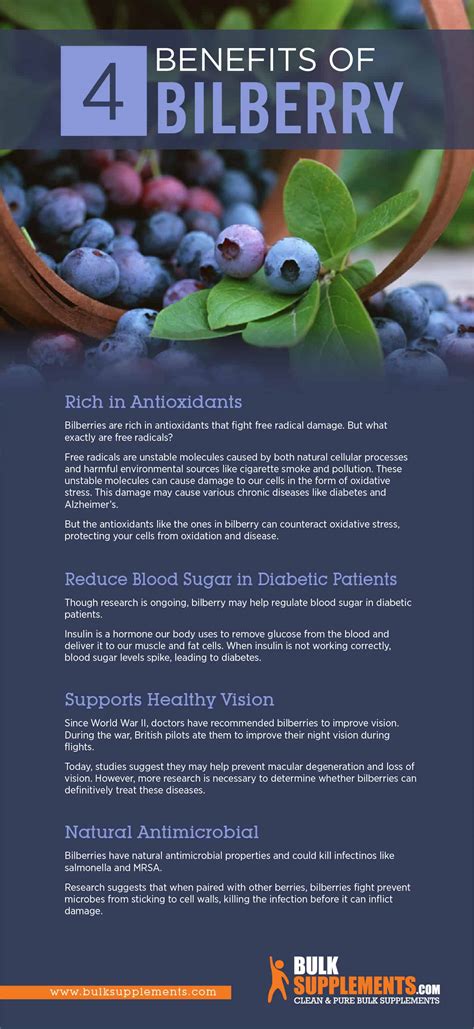 Bilberry Extract. Improve Your Vision and Protect Your Eyes