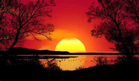 Sunset Landscape Trees Free Stock Photo - Public Domain Pictures