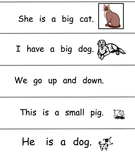 Sight Word Activities Worksheets Editable Sight Word Activit