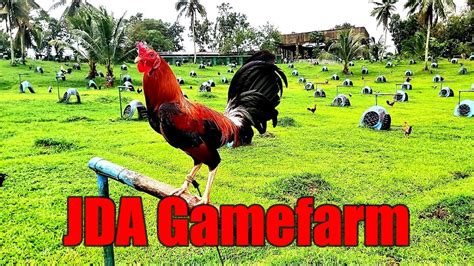 Lets Visit The Farm Of Jda Gamefarm Youtube